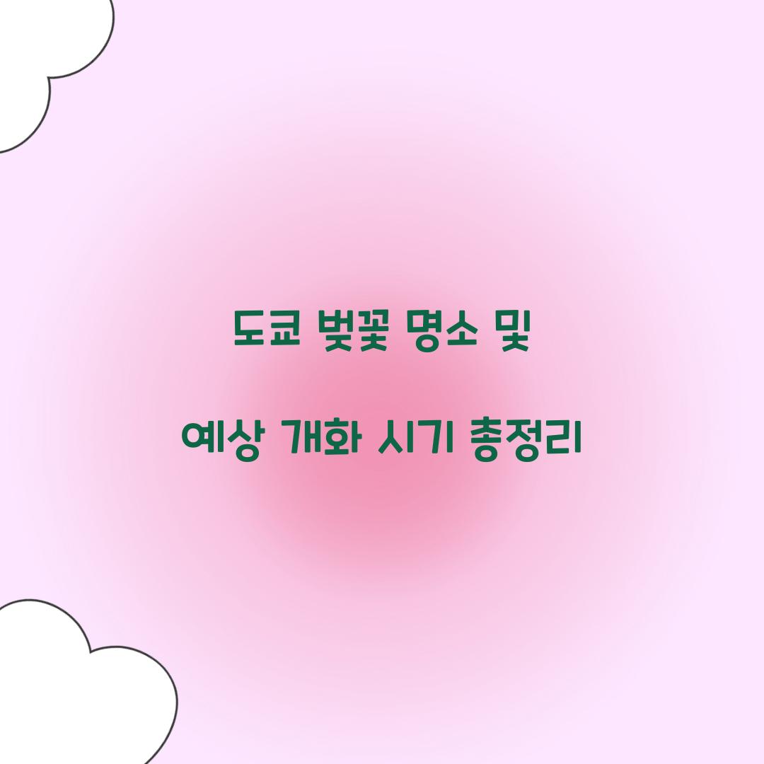 도쿄 벚꽃