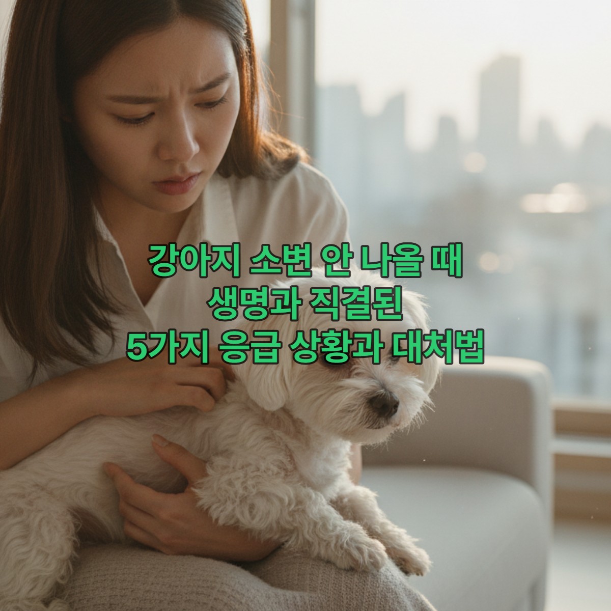걱정스러운 표정으로 노령견을 안고 있는 젊은 여성, 강아지 소변 문제에 대한 보호자의 불안감을 표현.