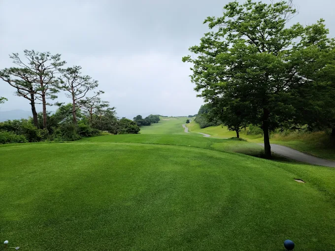 안성 베네스트 골프클럽 골프장 소개 및 예약방법
