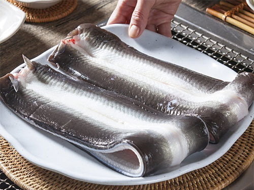 장어 효능