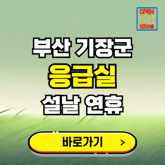 부산 기장군 설날 연휴 비상진료 응급실 병원 찾기 ❘ 내근처 24시 야간 심야 휴일 가능한 곳