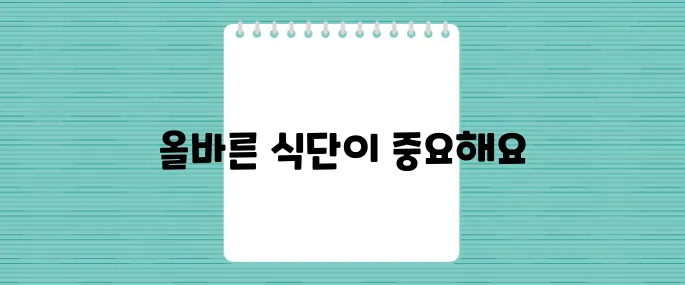 다이어트약 복용 중이라면? 올바른 식단 선택법