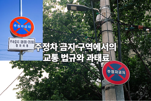 주정차 금지 구역에서의 교통 법규와 과태료