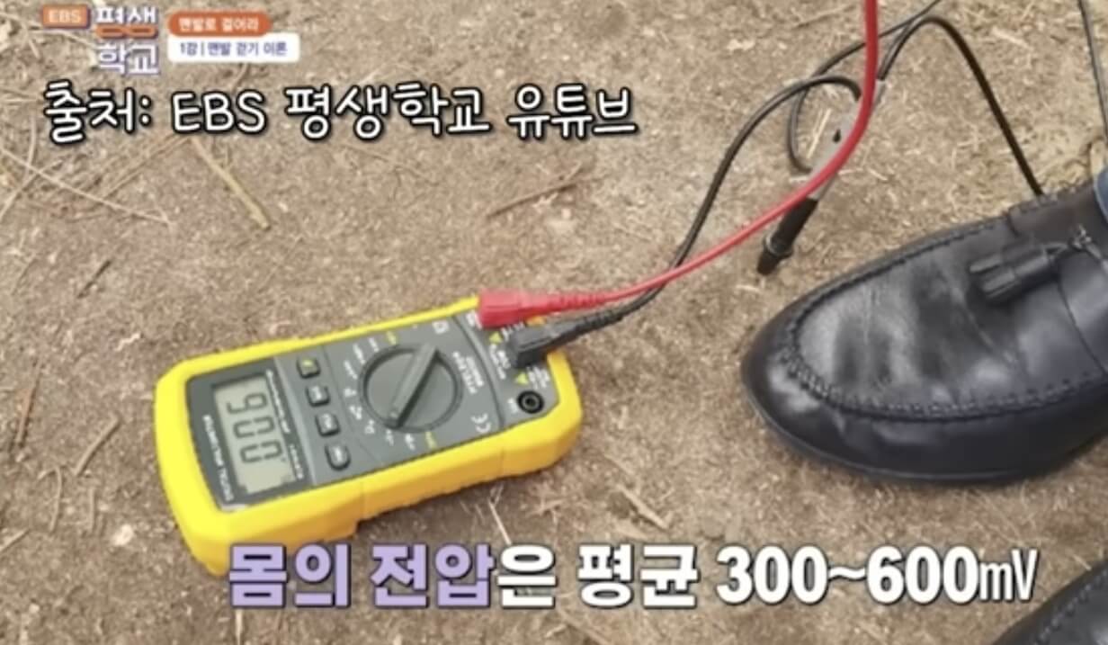 신체 전압