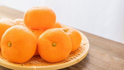 바구니에 담긴 귤