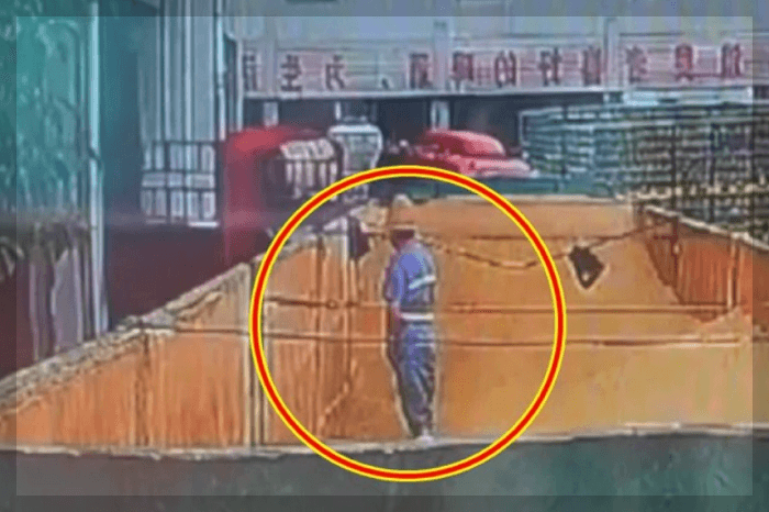 칭다오 맥주 제3공장에서 촬영된 것으로 알려진 영상 속 한 장면
