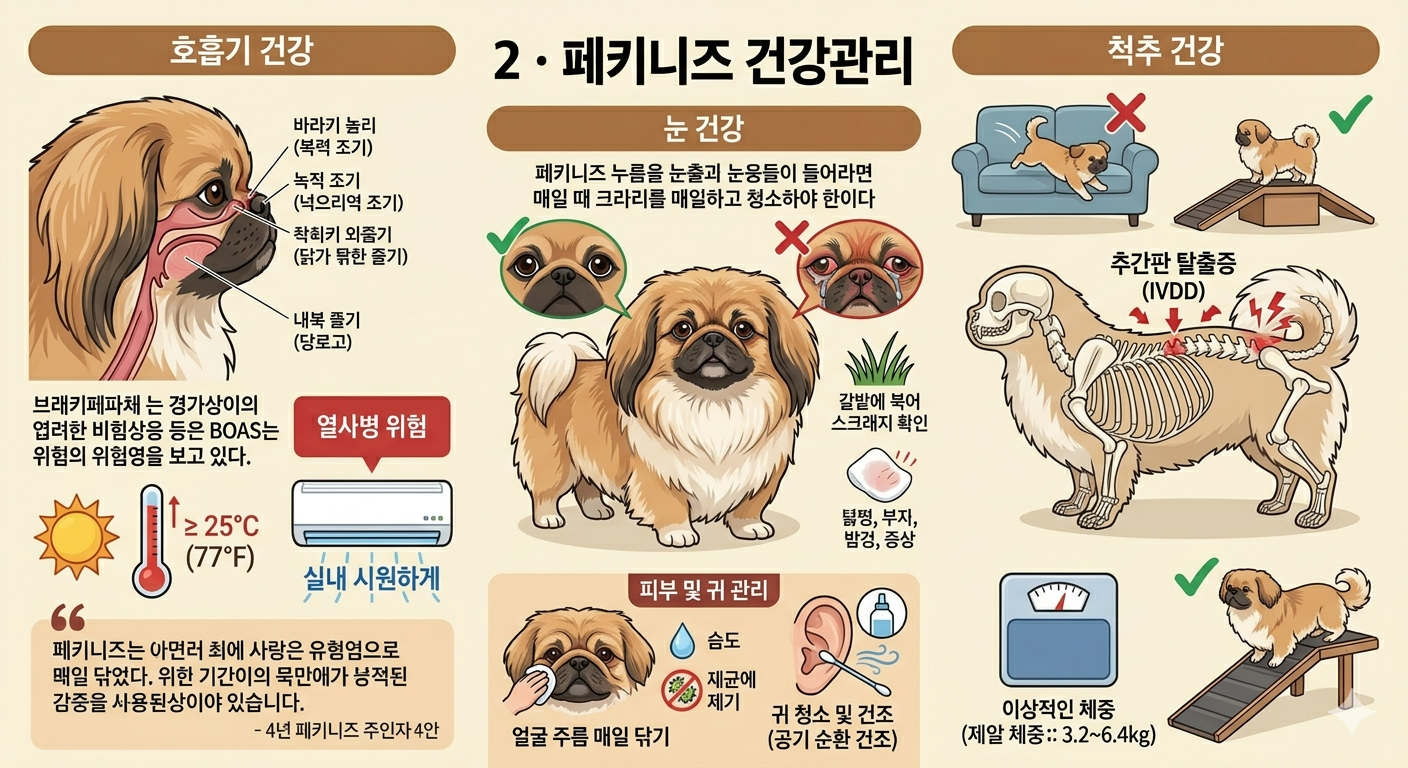 페키니즈 건강관리
