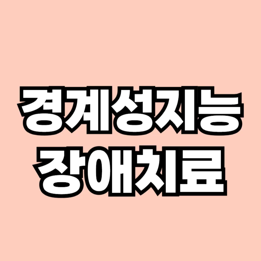 경계성 지능 장애 치료