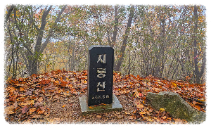 지룡산