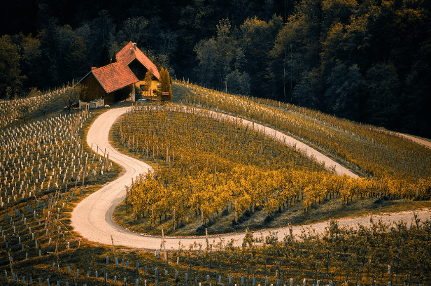 멈춤의 미학, 아무것도 하지 않는 시간의 가치