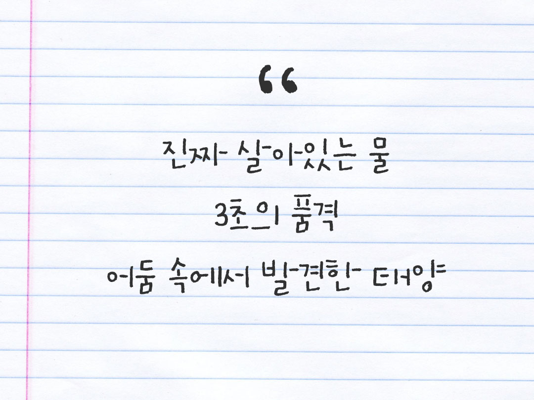 2026년 3월 8일 피어나네 감사노트|일상을 행복으로 바꾸는 기록 하루 3줄 감사일기