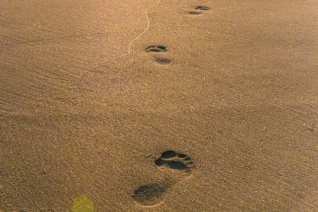 생활성가 발자국 모란마리아 악보_8