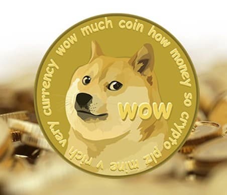 Dogecoin (DOGE) 지지