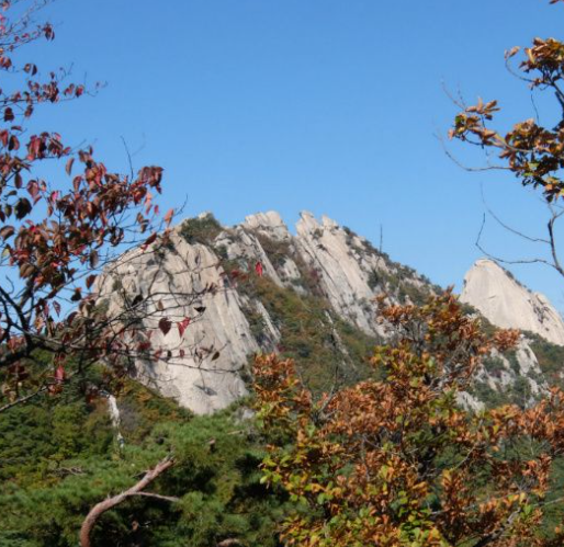 2025 북한산 단풍 절정 날짜 공개! 가을 등산 초보자 코스 &amp; 꿀팁