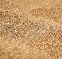 카무트 효소 효능 및 먹는법 총정리