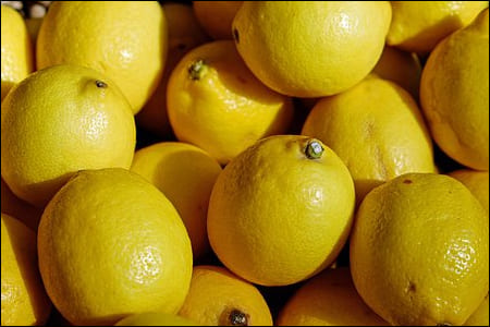 레몬