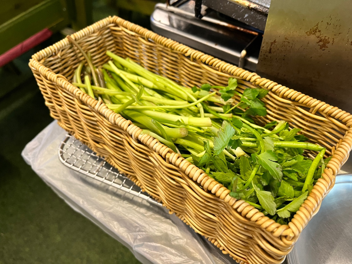 청도 미나리 등장