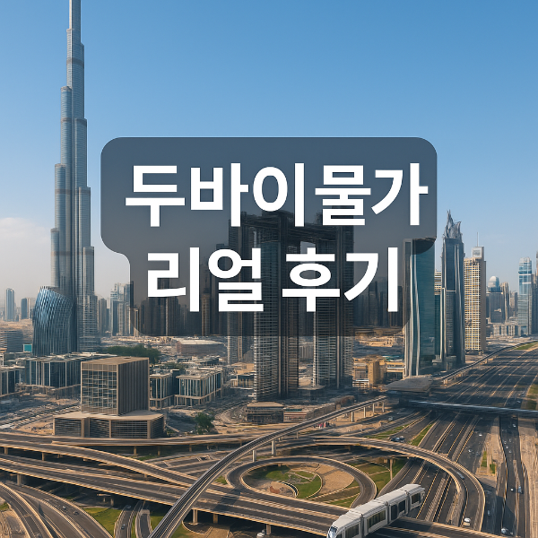 두바이 물가 총정리 (월세, 식비, 교통비 등)