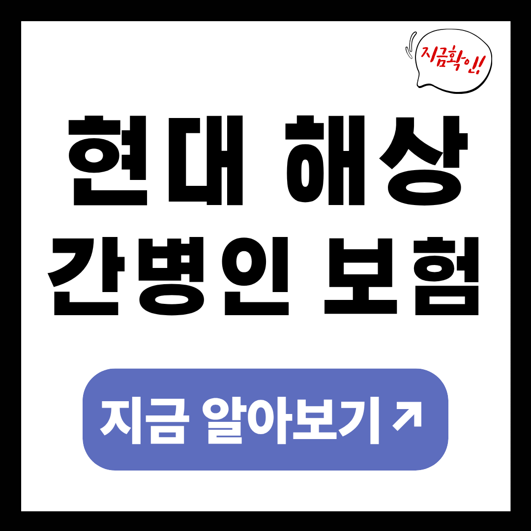 현대 해상 간병인 보험