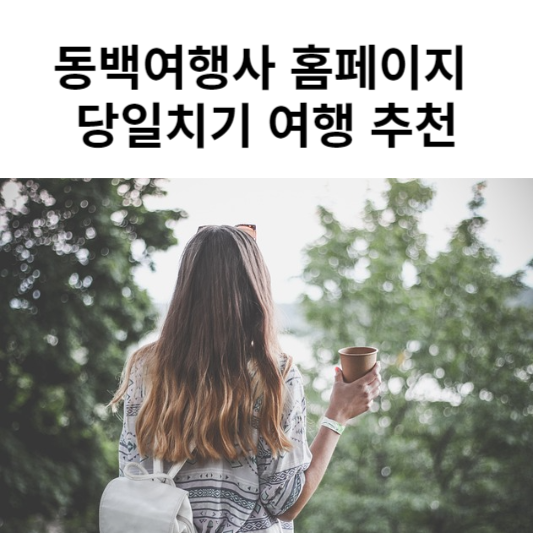 동백여행사 홈페이지 당일치기 여행 추천