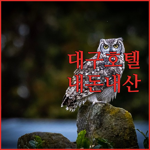 대구 DSR 비즈니스 호텔 내돈내산 