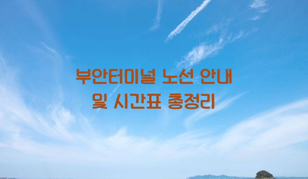 부안터미널 노선 안내