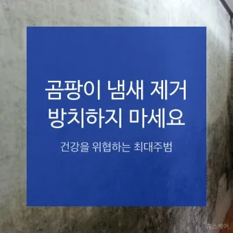 곰팡이 냄새 빨래통 환기와 햇빛 건조 베이킹소다 뿌리기_2