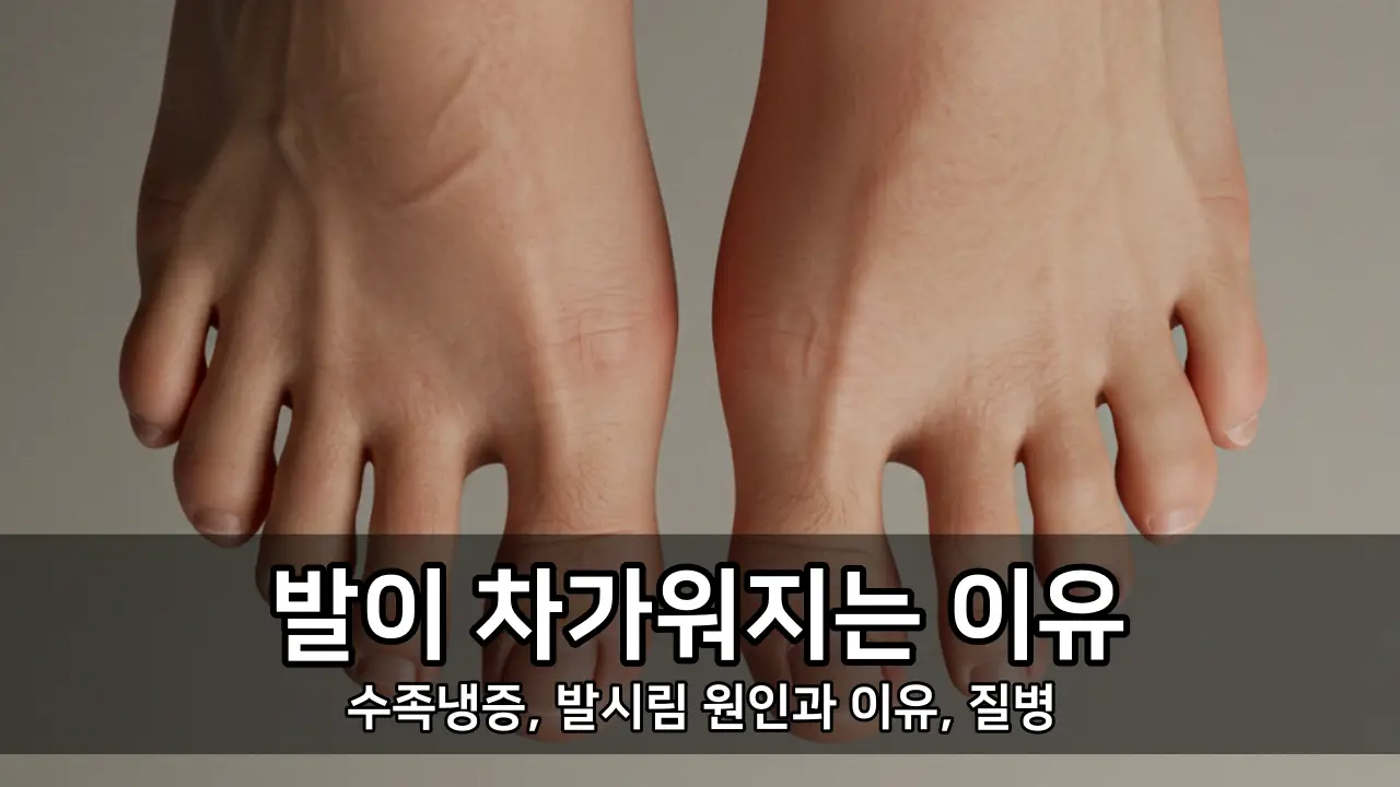 발이 차가워지는 이유 - 수족냉증, 발시림 원인과 이유, 질병