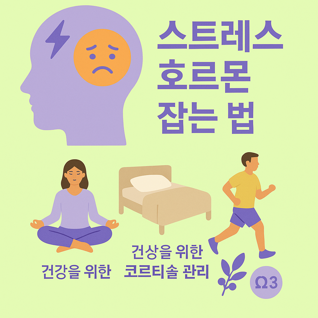 코르티솔 조절 가이드 (스트레스 호르몬 잡는 법)