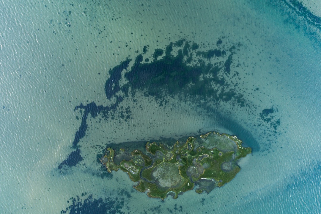 제부도를 영어로 번역하면 Jebu Island입니다.