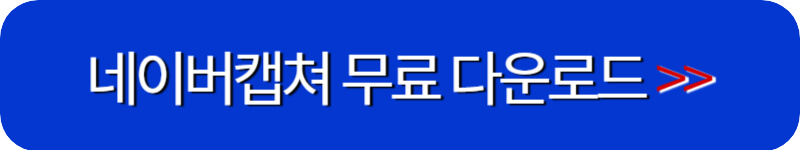 네이버캡쳐-다운로드-링크버튼