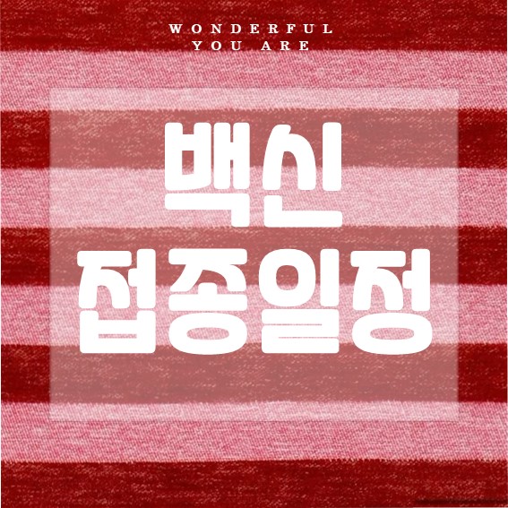 백신 접종 일정 완벽 가이드