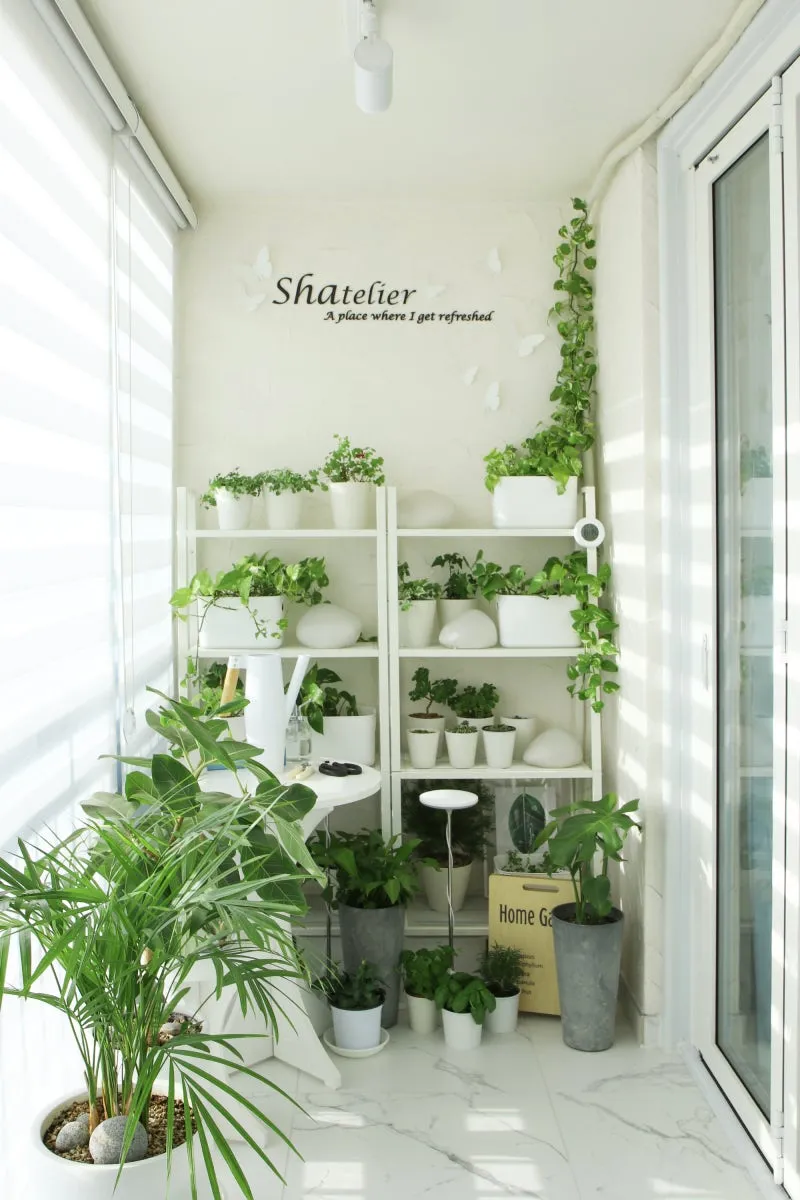 베란다정원 키우기 바람차단 햇빛차광 물주기 여름철 관리 요령_1