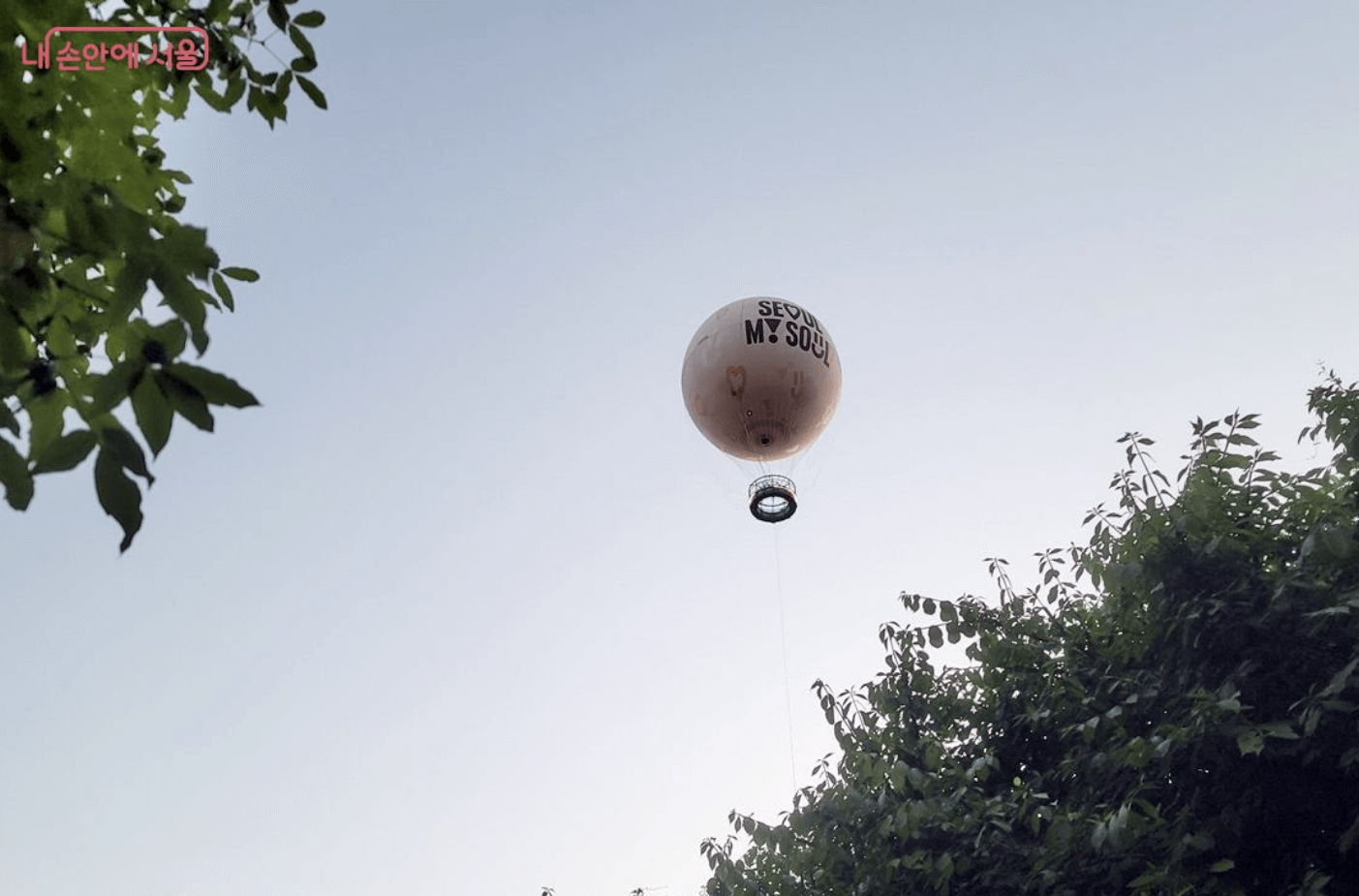 서울달 예약 및 이벤트