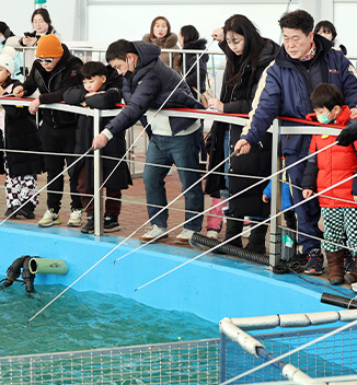 평창송어축제 완벽 가이드