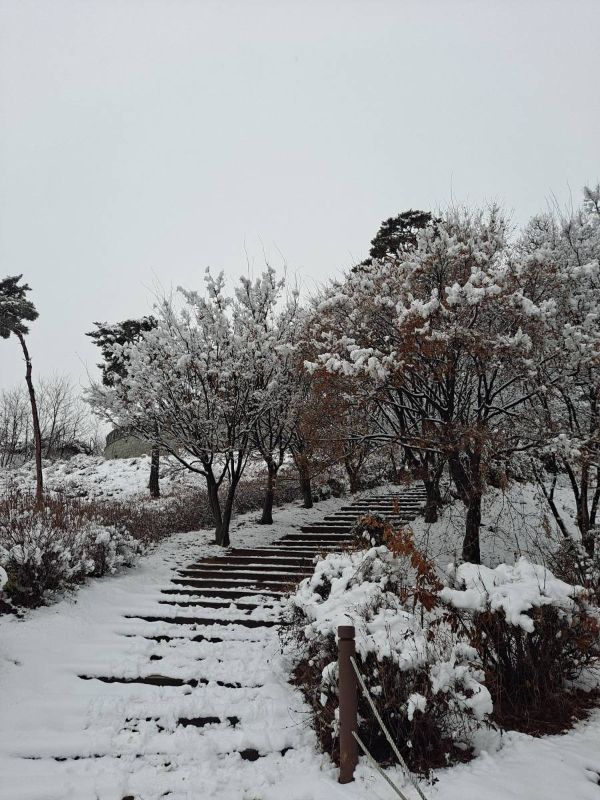 손돌목돈대 오르는 계단