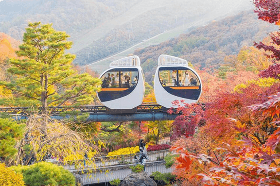 화담숲 주말 예약 성공 노하우