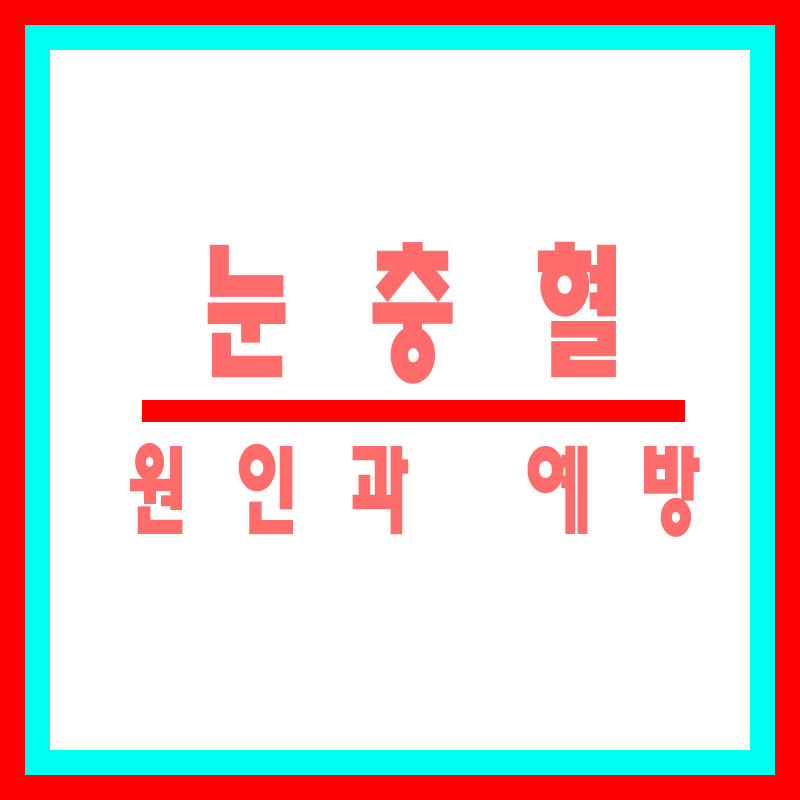 눈충혈