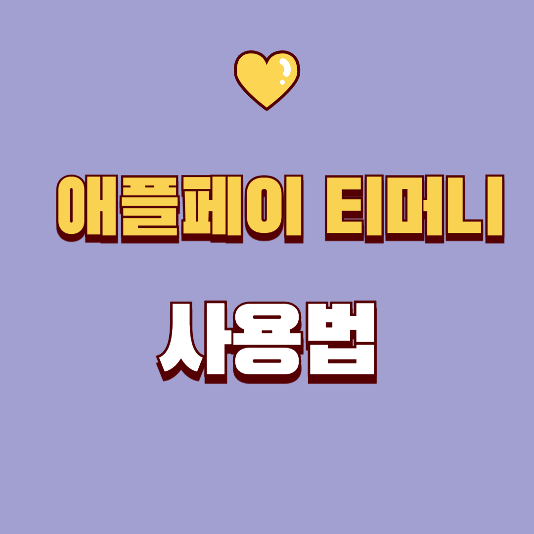 아이폰 유저 필수! 애플페이 티머니, 대중교통 활용하는 방법