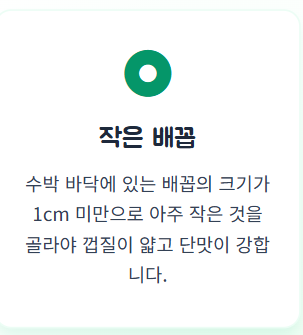 수박주스 만드는법