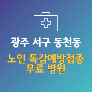 광주 서구 동천동 노인 독감예방접종 무료 병원