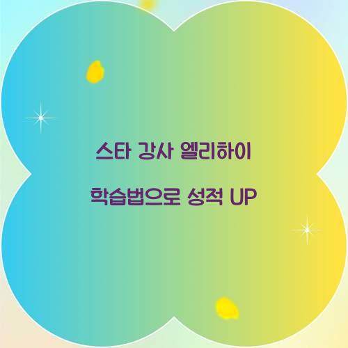 스타 강사 엘리하이 학습법