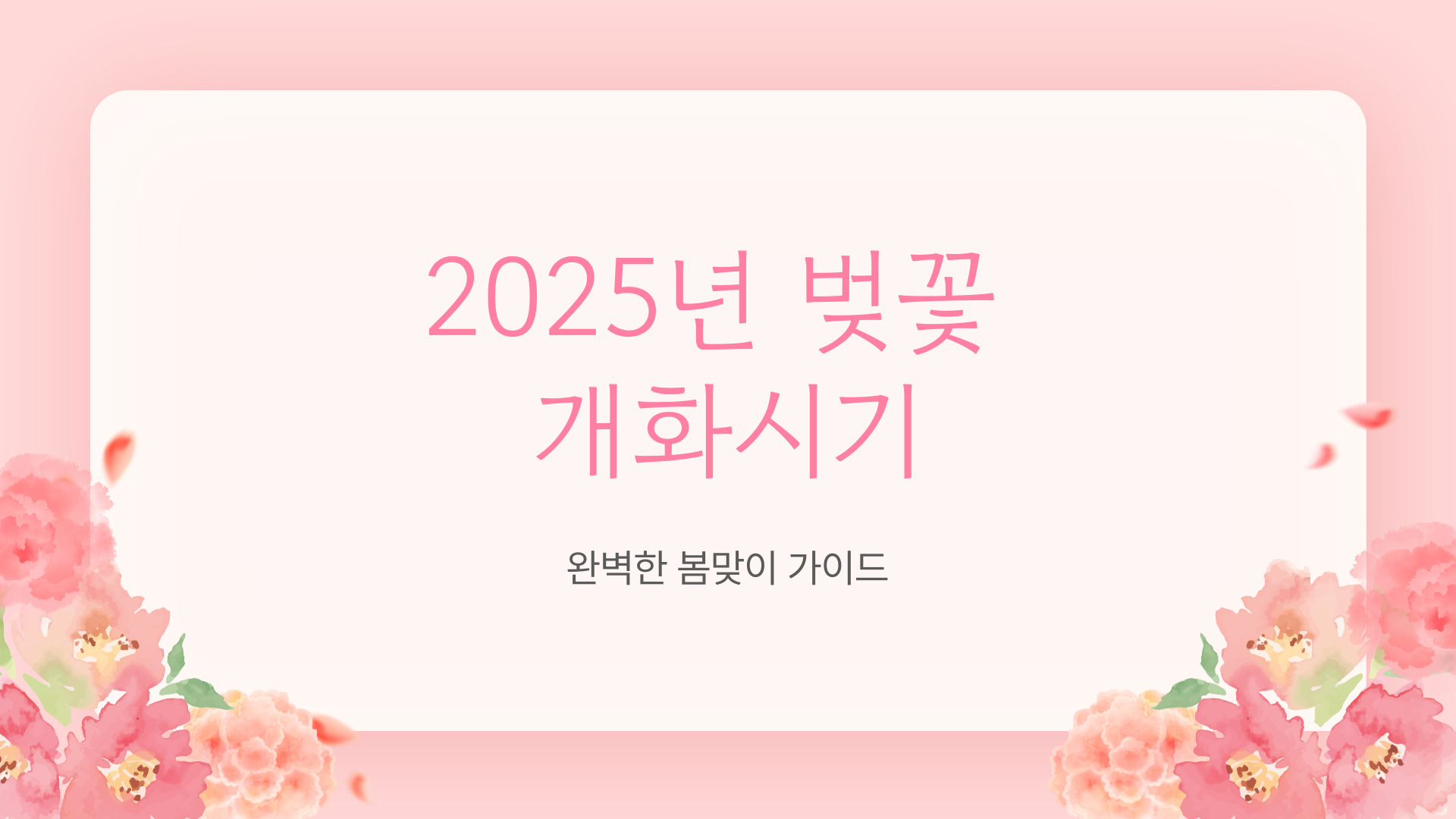 2025년 벚꽃 개화시기