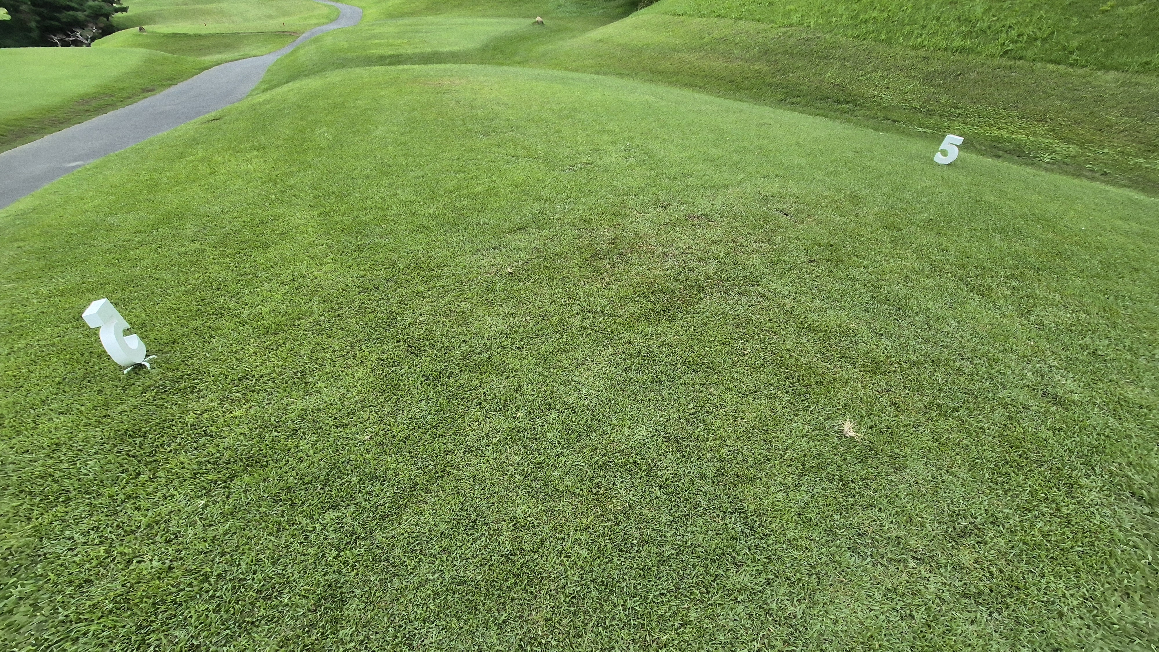 한림용인cc 다이아몬드-사파이어 코스 라운드 후기