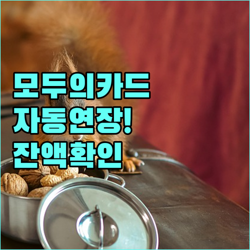 모두의 카드 저소득층 자동 연장 조건..