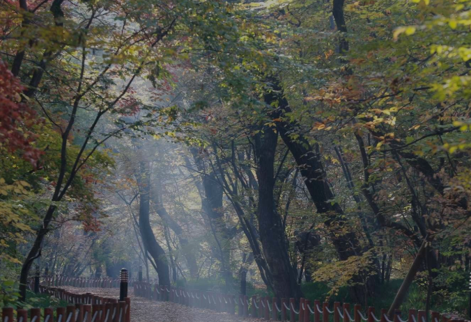 함양 상림