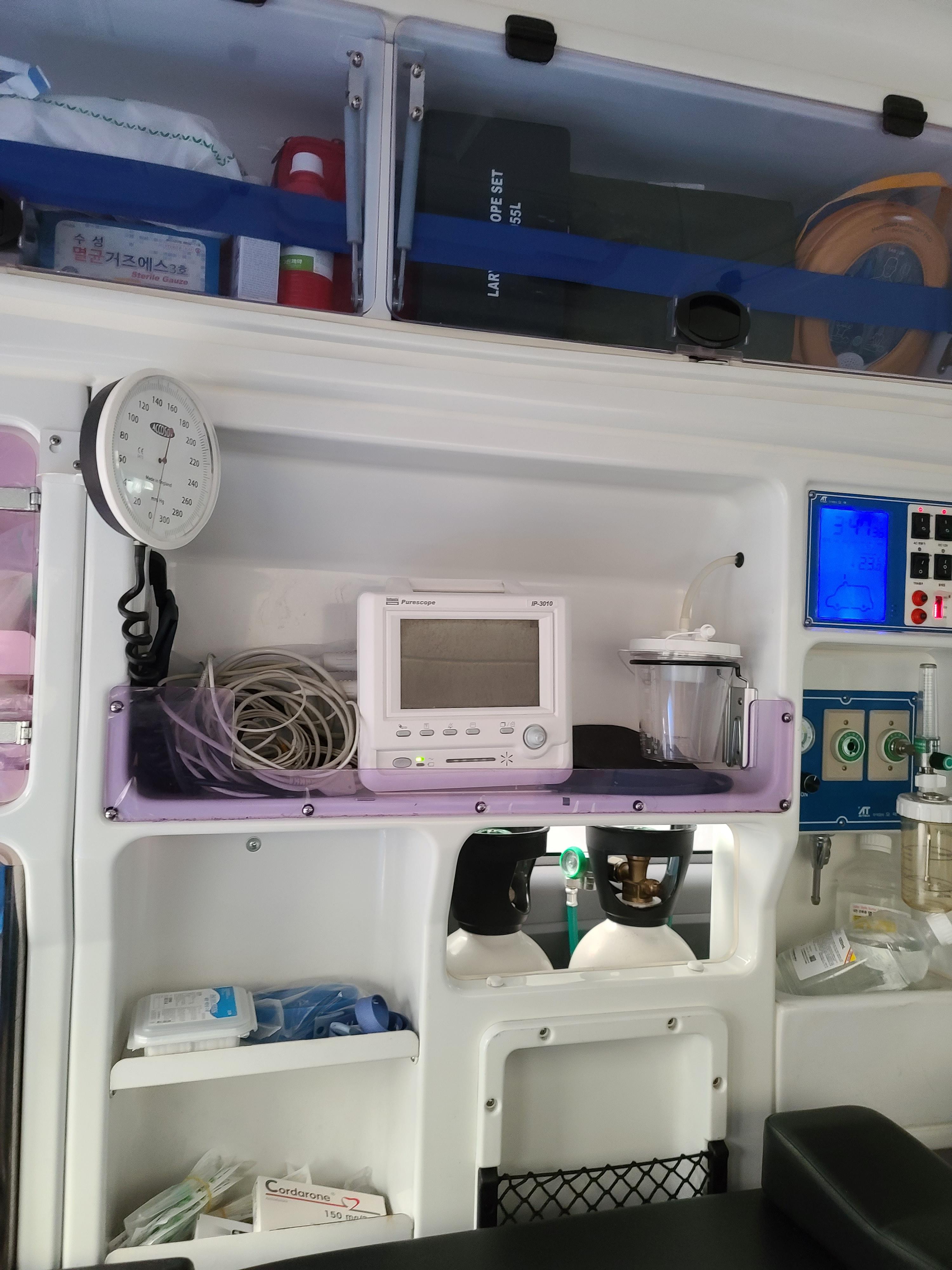 6일만에 엄마를 본 고양이들의 반응은?! 아홉고양이들의 반응.