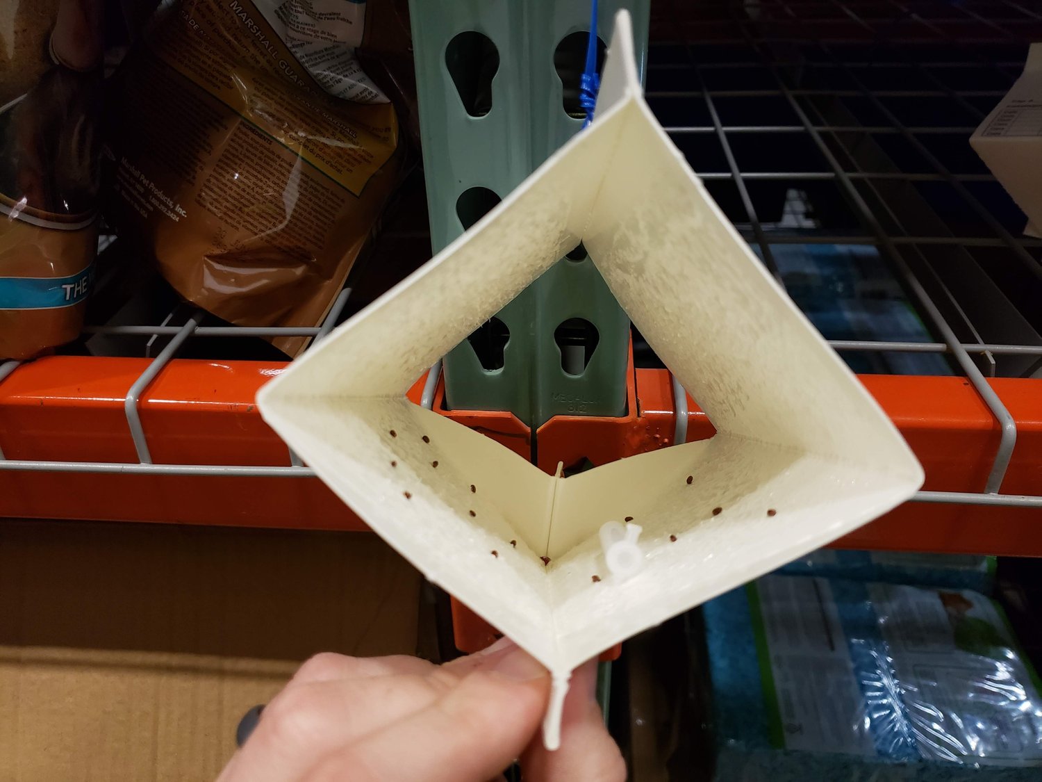 시중에 유통되고있는 권연벌레 트랩