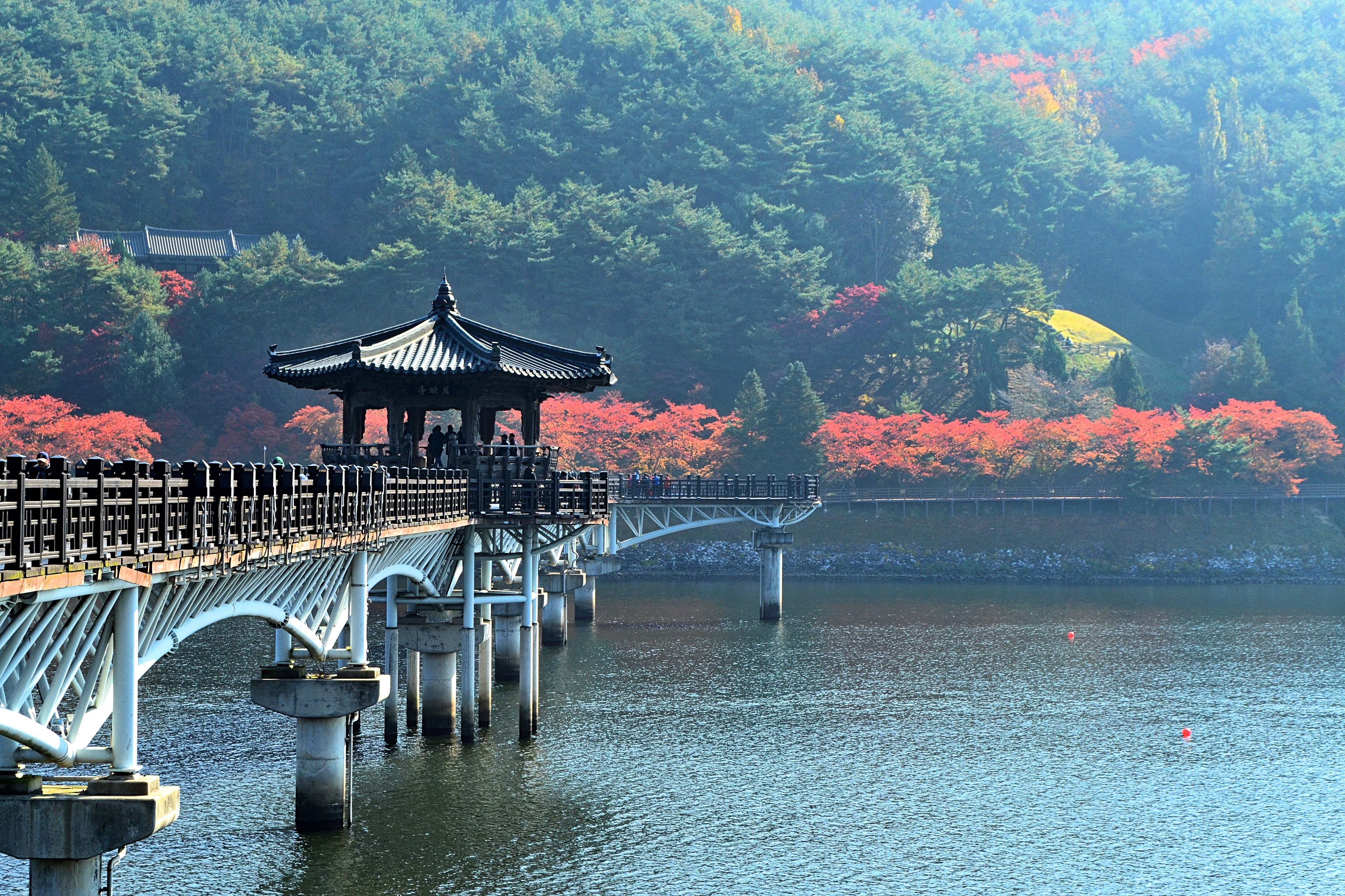 2026년&nbsp;안동・예천&nbsp;경북도민체육대회부대행사 문화행사 관광안내