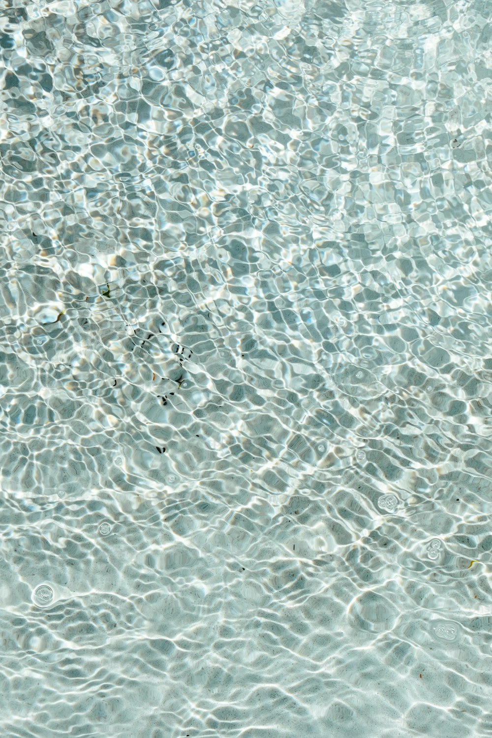 프루티거 에어로 관련 이미지